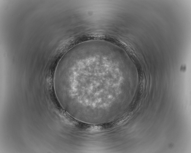 X0000091480609200709061841