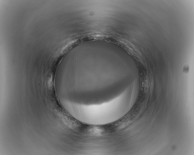 X0000091480610200709061841