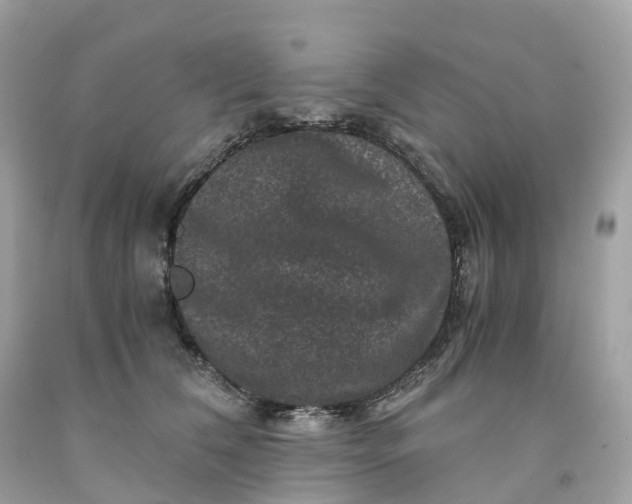 X0000091480612200709061841