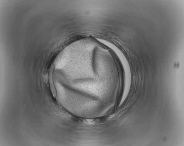 X0000091480613200709061841