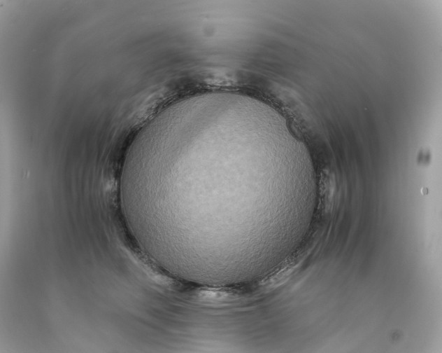 X0000091480614200709061841