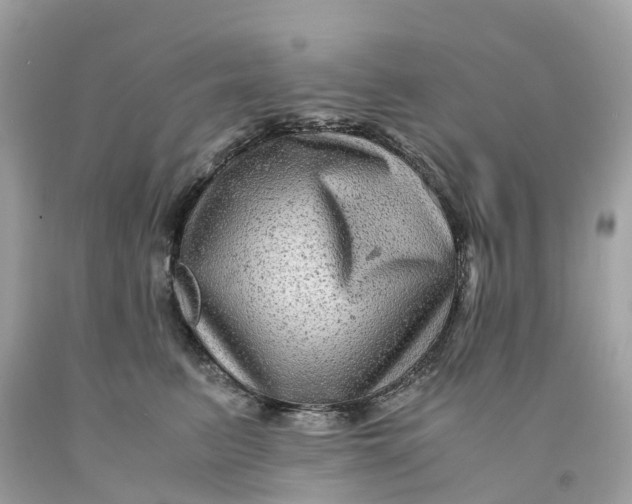 X0000091480615200709061841