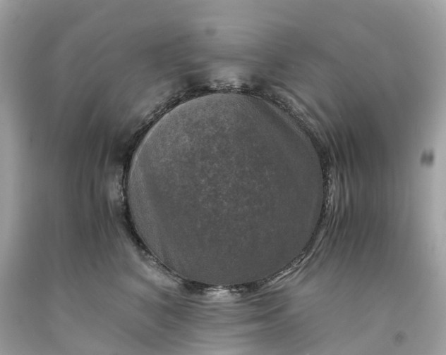 X0000091480616200709061841