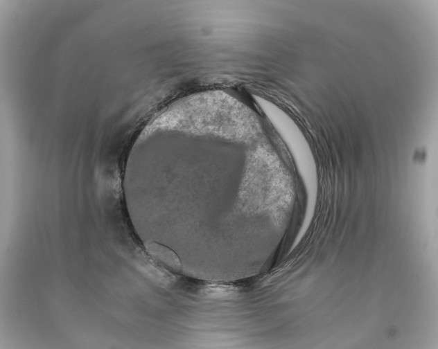 X0000091480617200709061841