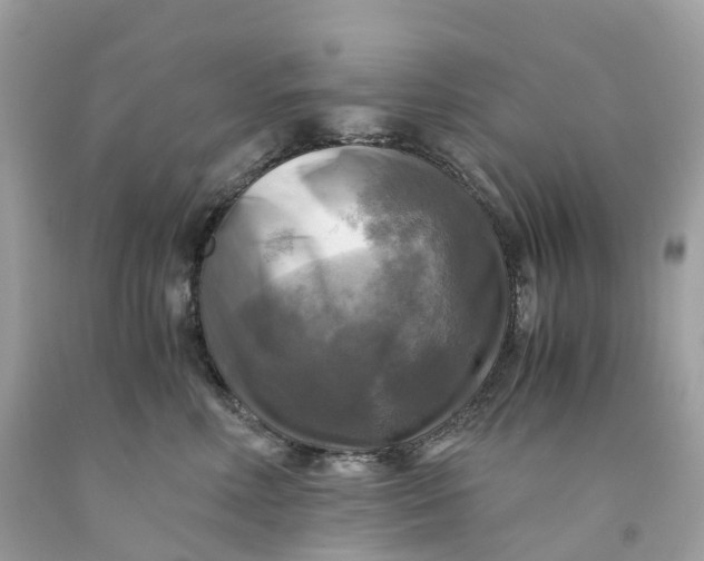 X0000091480618200709061841