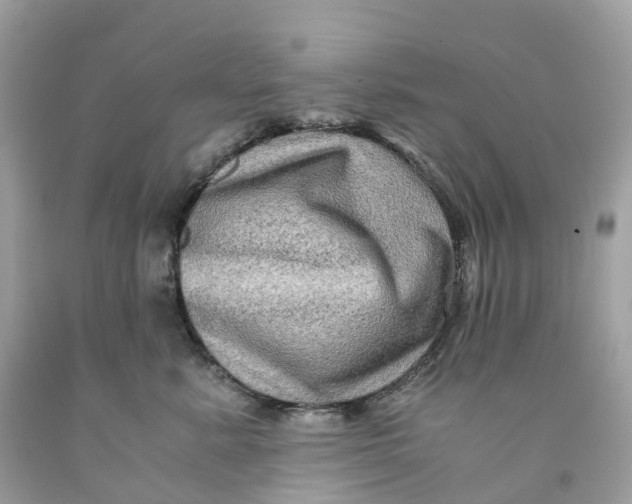 X0000091480619200709061841