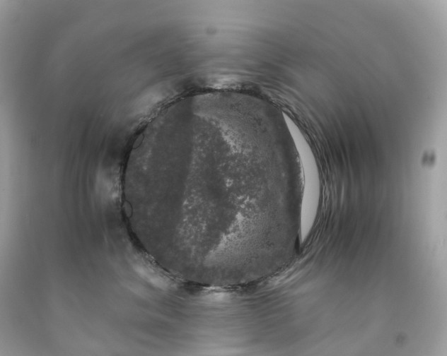 X0000091480620200709061841