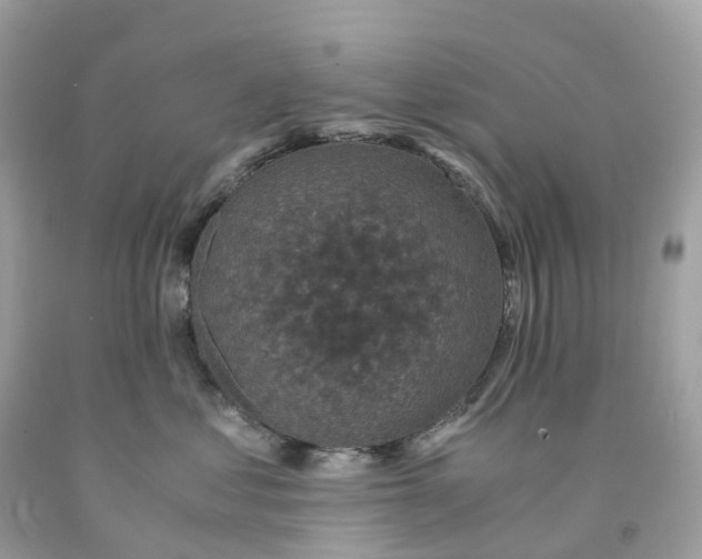 X0000091480621200709061841