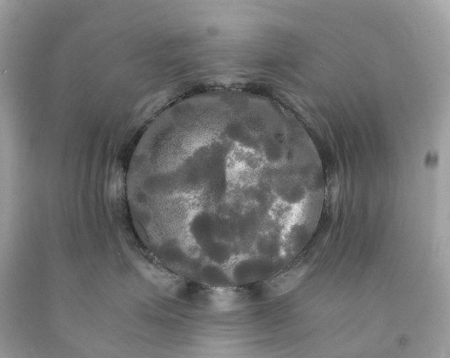 X0000091480623200709061841