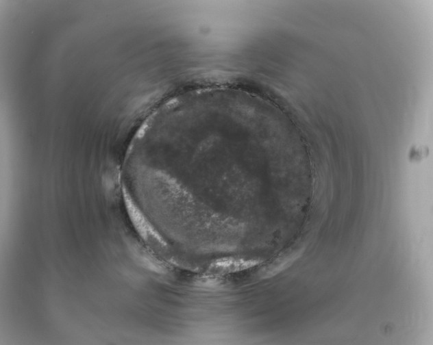 X0000091480624200709061841