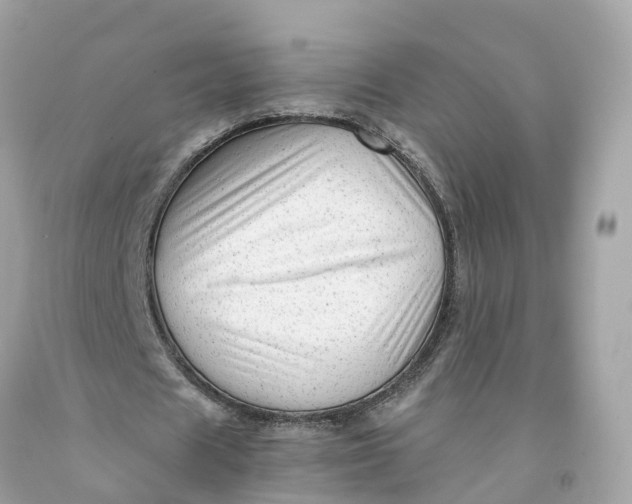 X0000091480625200709061840