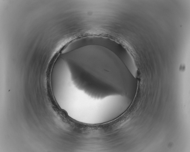 X0000091480626200709061840