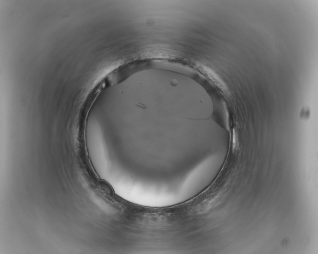 X0000091480627200709061840