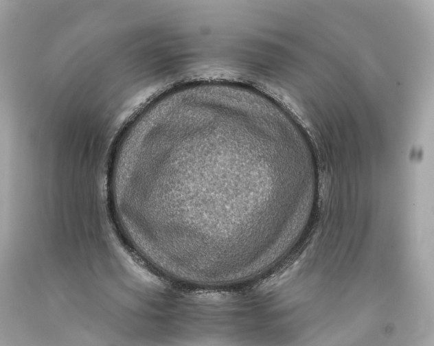 X0000091480629200709061840