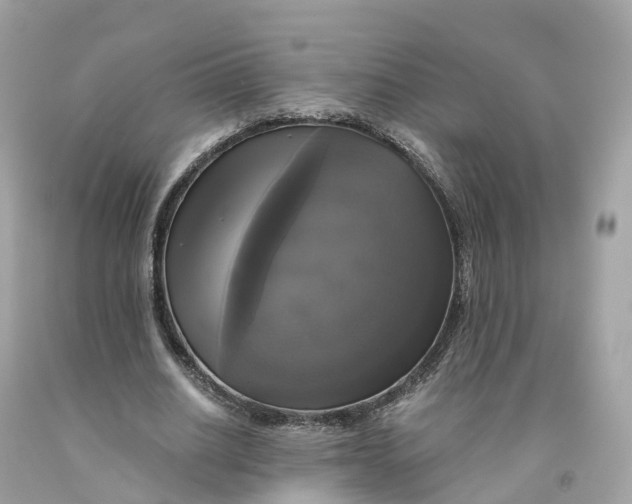 X0000091480630200709061840