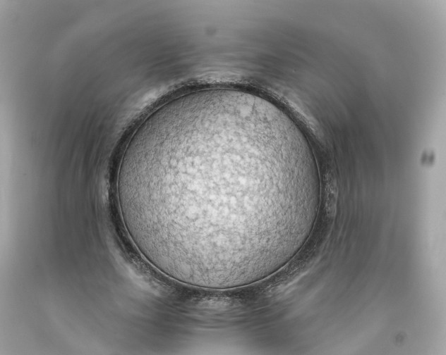 X0000091480631200709061840