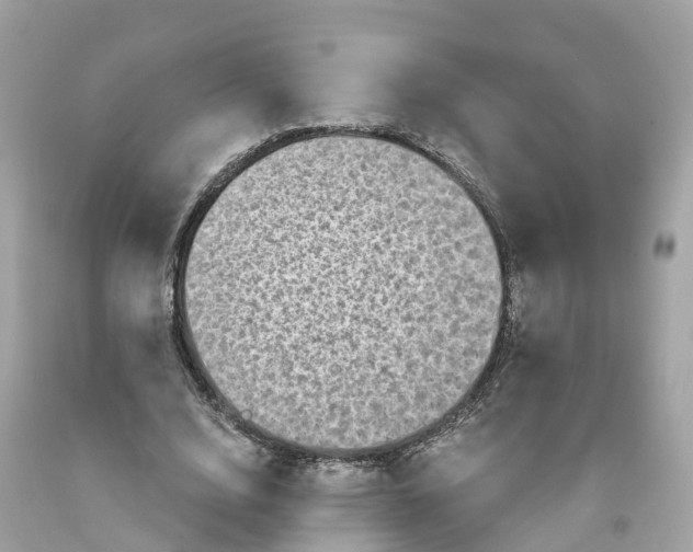 X0000091480632200709061840