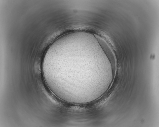 X0000091480633200709061840