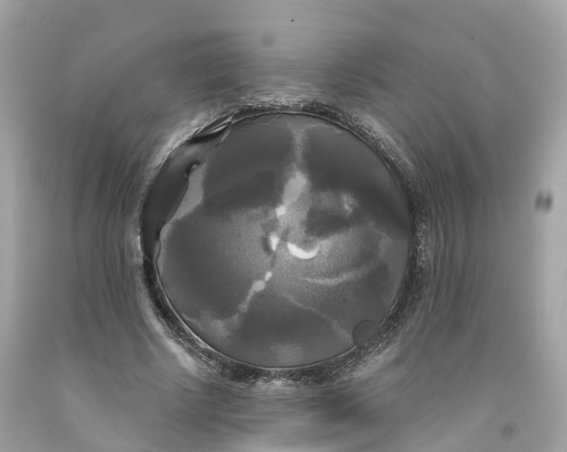 X0000091480634200709061840