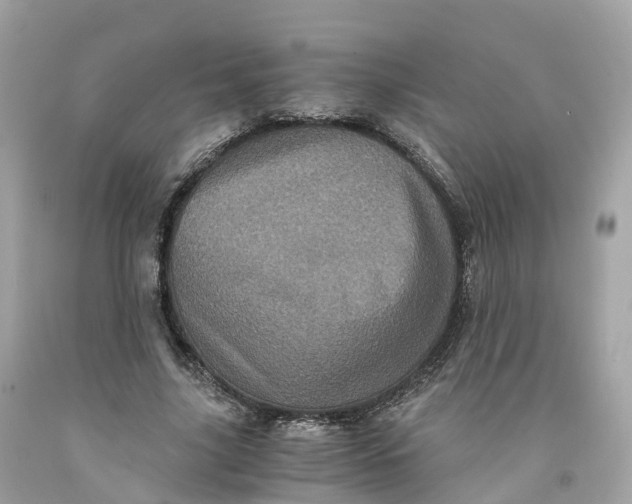 X0000091480635200709061840