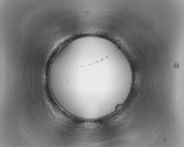 X0000091480636200709061840