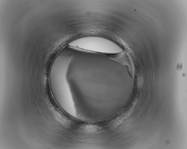 X0000091480637200709061840