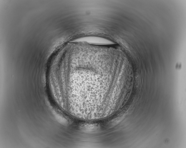 X0000091480638200709061840