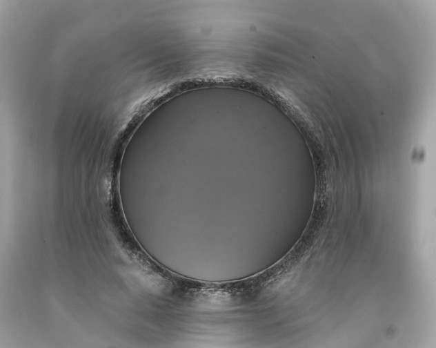 X0000091480640200709061840