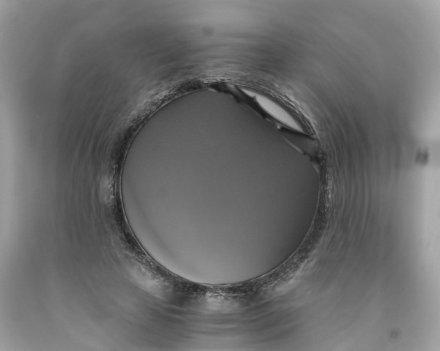 X0000091480641200709061840