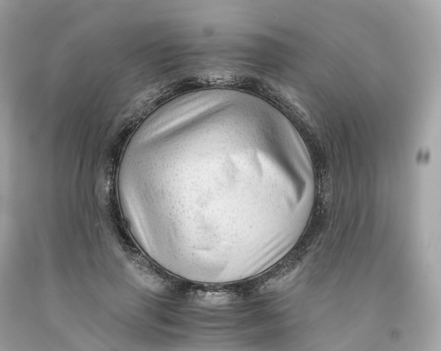 X0000091480645200709061840