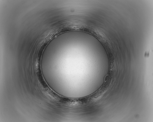 X0000091480646200709061840