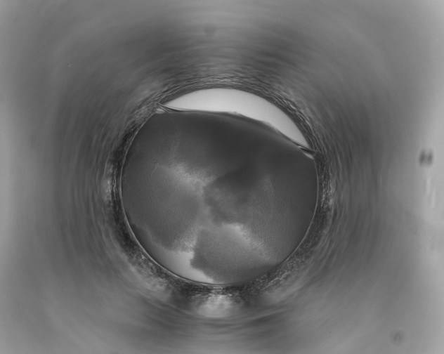 X0000091480647200709061840