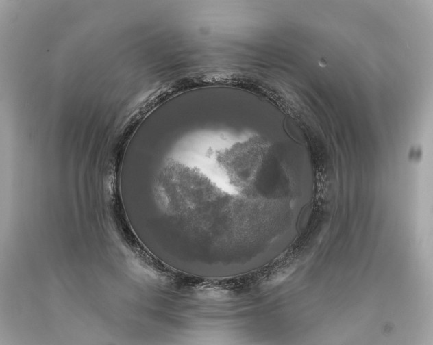 X0000091480648200709061840