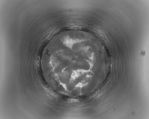 X0000091480649200709061840