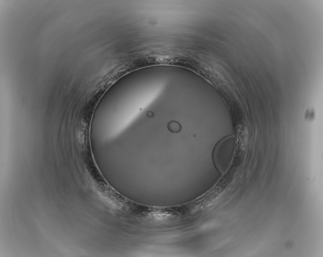 X0000091480650200709061840