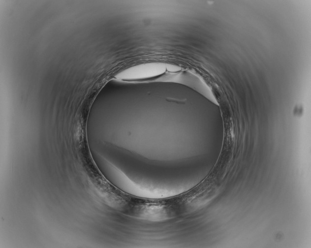 X0000091480651200709061840