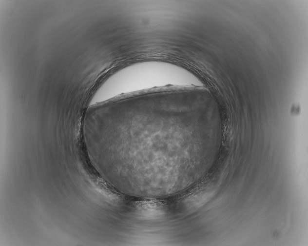 X0000091480652200709061840