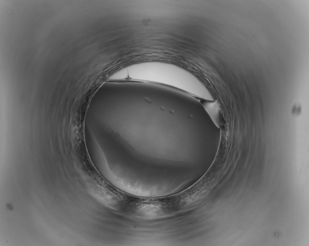 X0000091480653200709061840