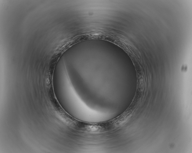 X0000091480654200709061840