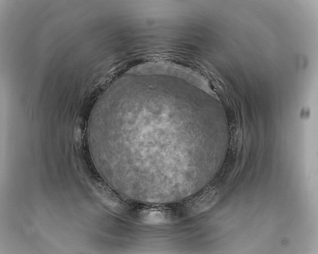 X0000091480655200709061840