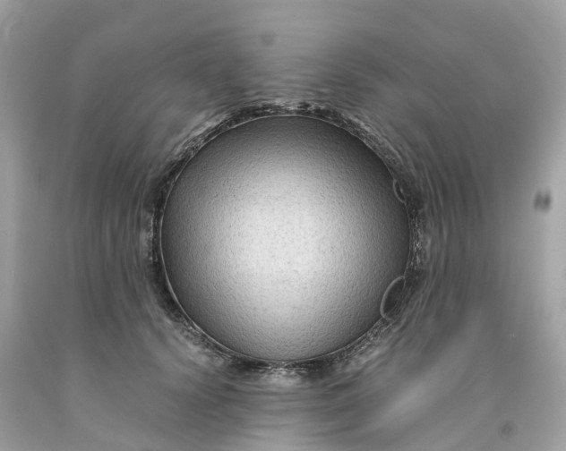 X0000091480656200709061840