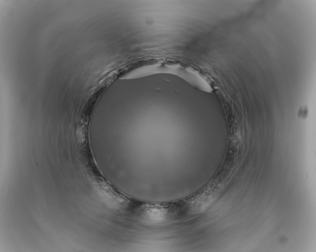 X0000091480658200709061840