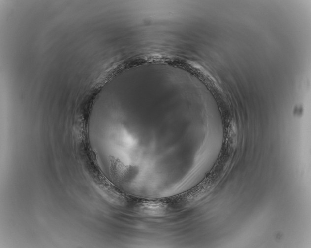 X0000091480659200709061840