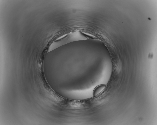 X0000091480661200709061840