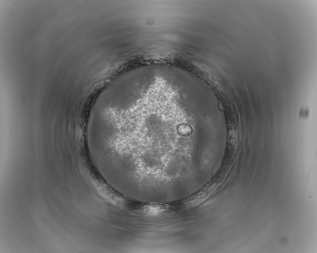 X0000091480662200709061840