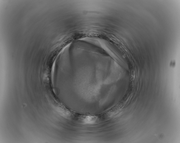 X0000091480663200709061840