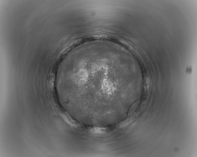 X0000091480664200709061841