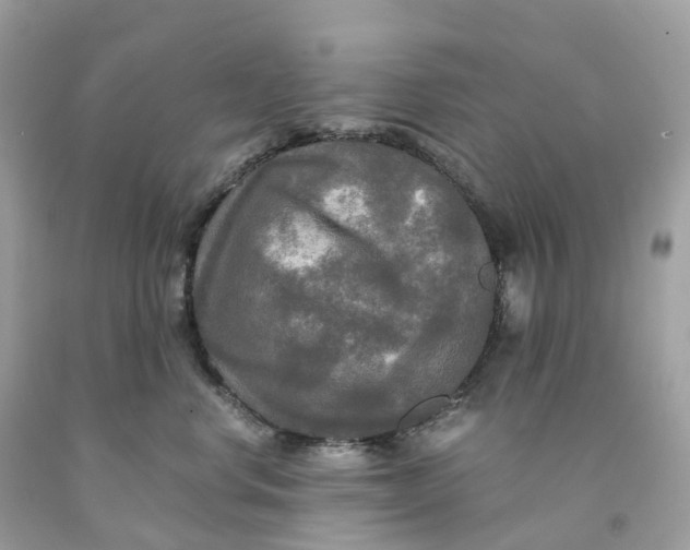 X0000091480668200709061841