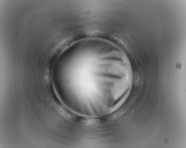 X0000091480670200709061841