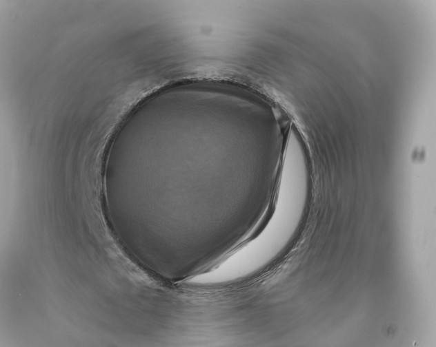 X0000091480673200709061840